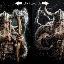 viking07